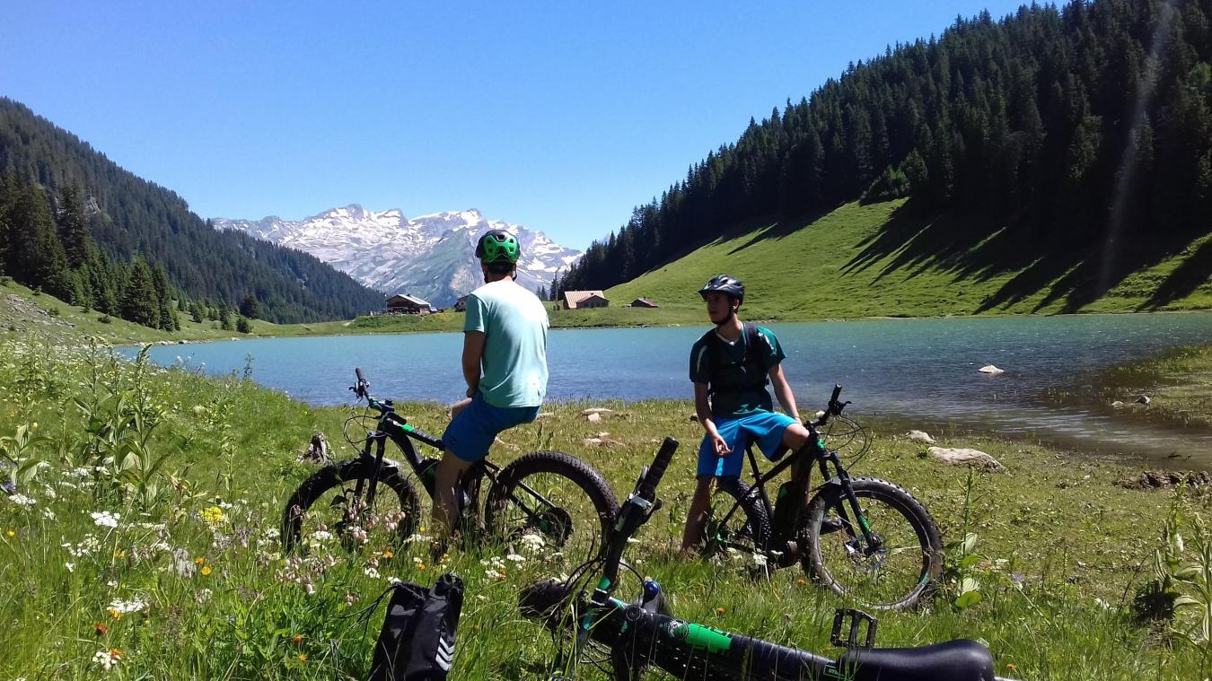 Festival vélo vert sales